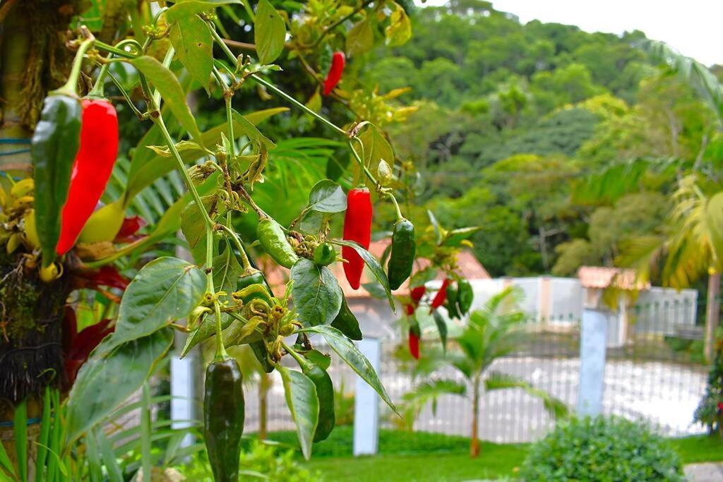 Casa Espetacular No Centro Da Serra Nova Friburgo Ngoại thất bức ảnh